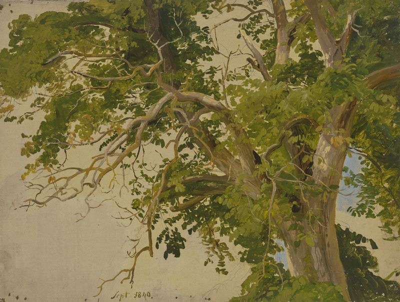 Treetop by Jakob Becker, oil on canvas depicting sunlight filtering through trees.