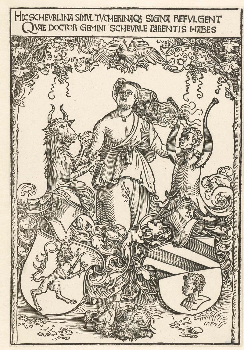 Brasões das famílias Scheurl e Tucher, papel de Albrecht Dürer