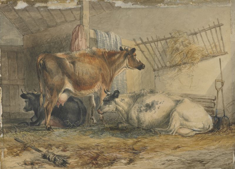 Cows de John Holding, realismo, representa una manada pastando en un paisaje pastoral