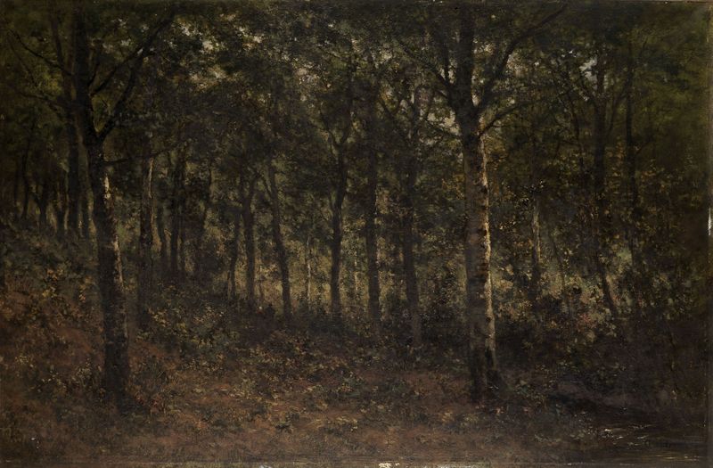 Woodland by Charles Pauli, oil painting depicting a tranquil forest scene with sunlight filtering through foliage.