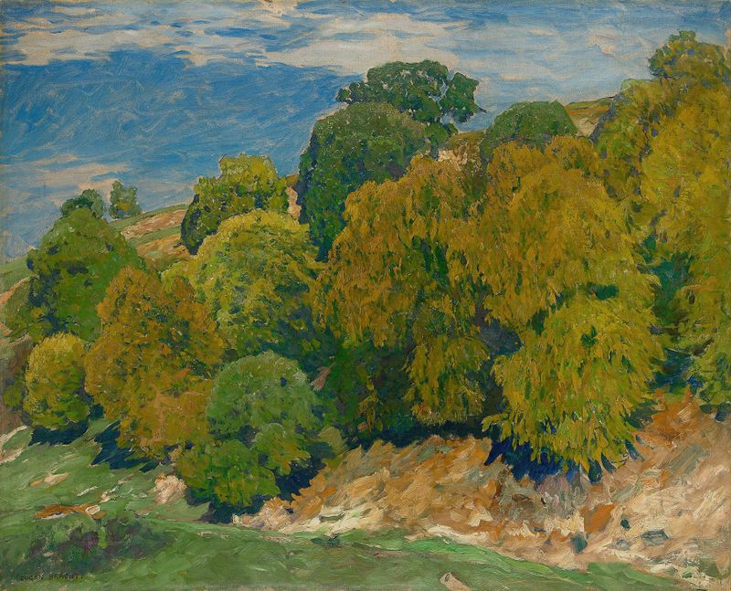 Slope with Beeches, pintura al óleo de Eugen Bracht, presenta vibrantes árboles de haya y un terreno inclinado.