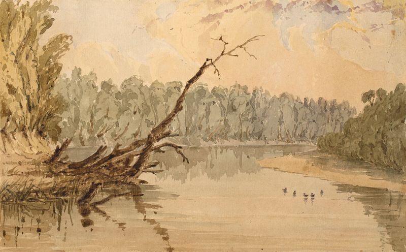 16 Miles Above the Mouth of the Ohio, óleo sobre lienzo de Seth Eastman que muestra el paisaje del río Ohio.
