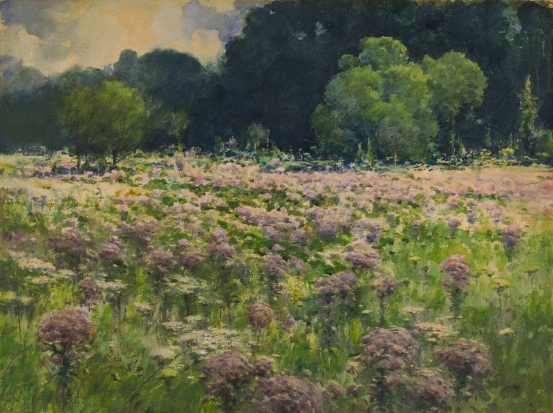 Aquarela de William Henry Holmes retratando joe pie weeds em uma paisagem natural