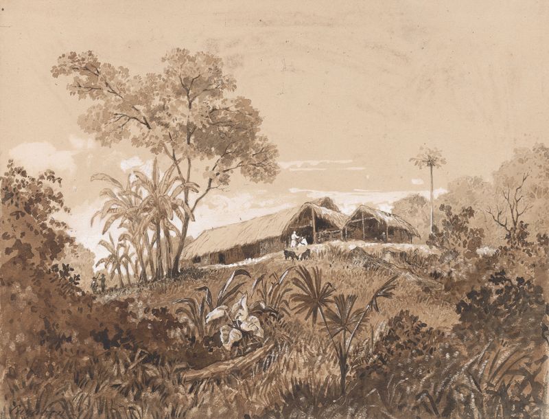 Cottage at Tamana by Michel Jean Cazabon, oil on canvas depicting a sunlit landscape.