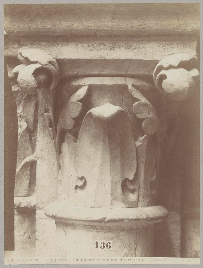 Gothic capital with foliage details by Adolphe Giraudon, albumen print