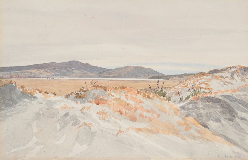 Landscape of Dunedin from the Ocean Beach by James Crowe Richmond, oil painting