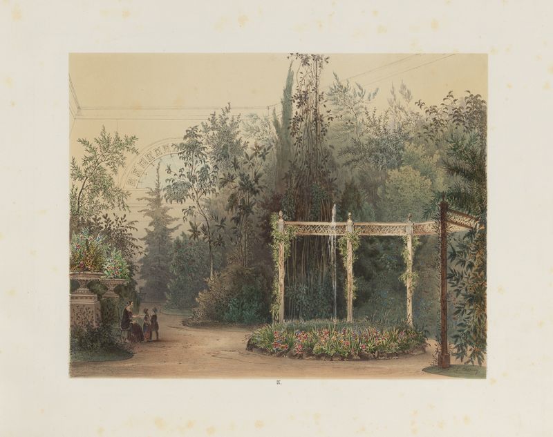 Interior view of a winter garden, engraving by Franz Antoine