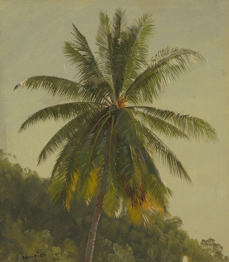 Palmeiras, Índias Ocidentais de Frederic Edwin Church, pintura a óleo que retrata uma paisagem tropical.