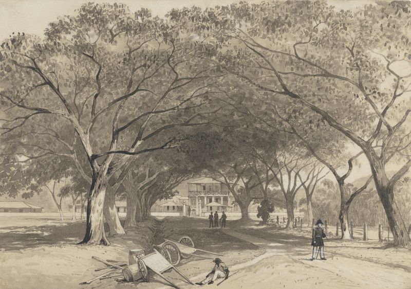Avenida y Entrada a los Cuarteles de St. James de Michel Jean Cazabon, óleo que muestra un camino y vegetación.