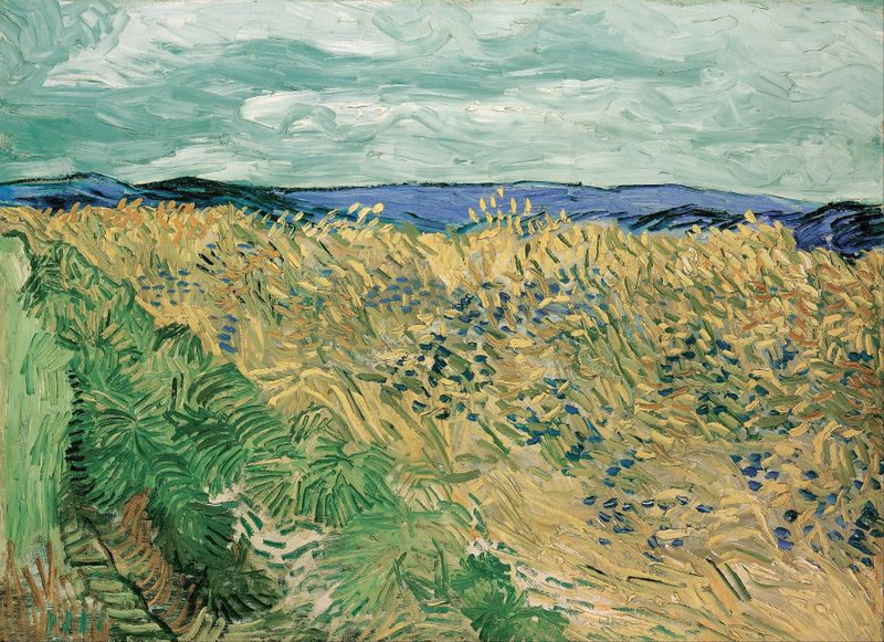 Campo de Trigo com Cornflowers, óleo sobre tela de Vincent van Gogh