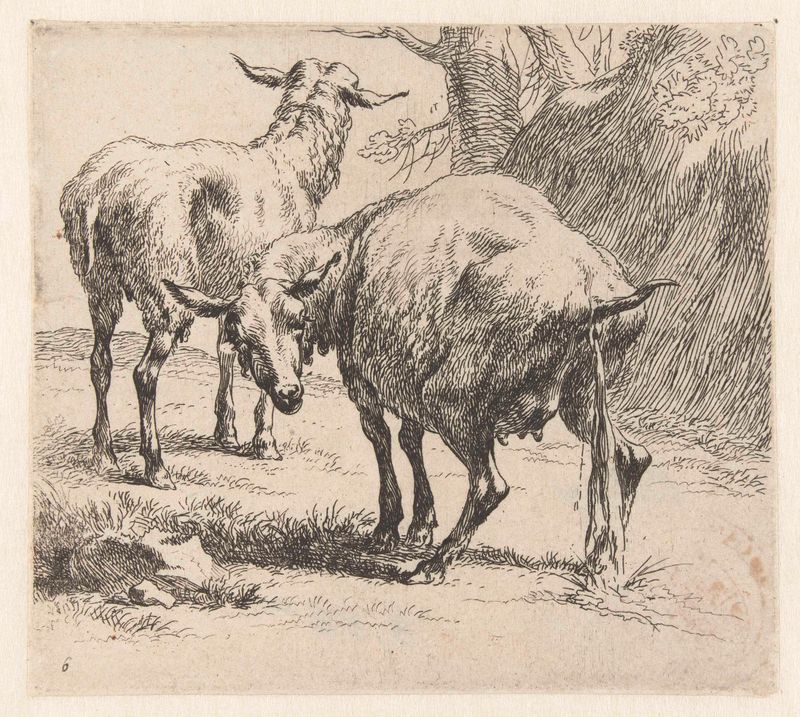 Gravura de Nicolaes Pietersz Berchem mostrando uma ovelha em uma paisagem pastoral tranquila