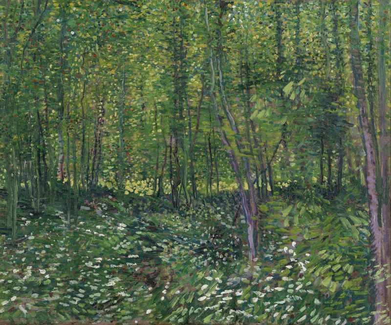 Árvores e sub-bosque, pintura a óleo de Vincent van Gogh