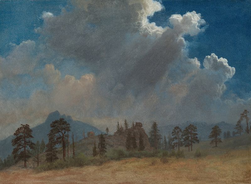 Fir Trees and Storm Clouds de Albert Bierstadt, pintura al óleo que representa un paisaje tormentoso