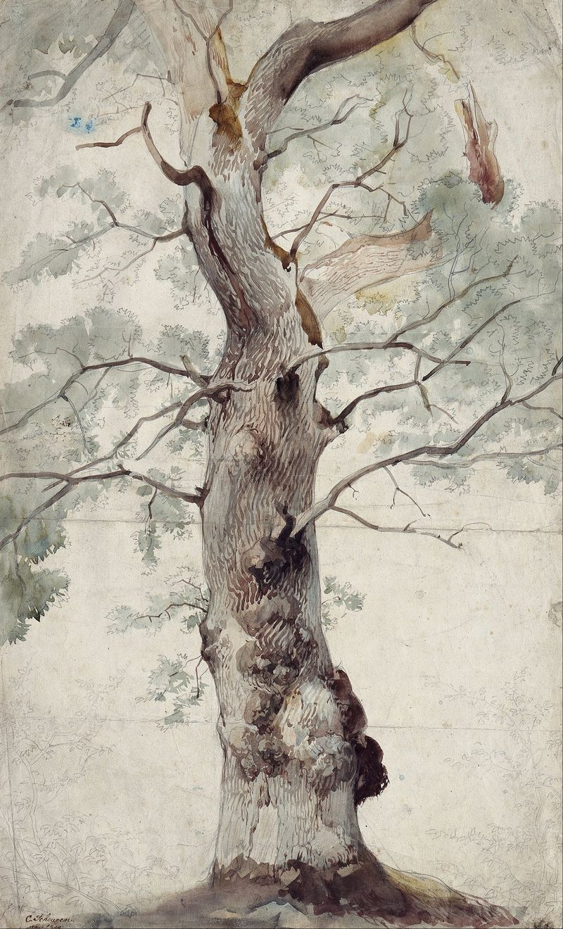 Estudo de uma Árvore de Caspar Scheuren, aquarela sobre papel que retrata uma árvore solitária na natureza.