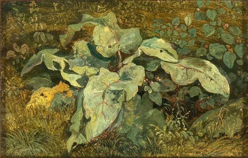 Aquarela botânica de Theodor Petter representando vegetação exuberante e plantas