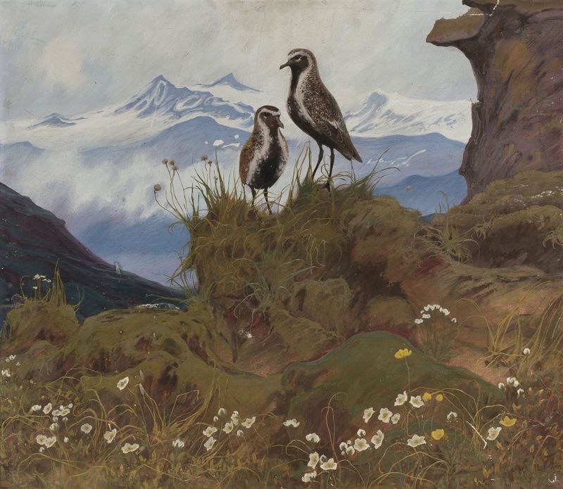 Dois pássaros em uma paisagem de montanha, óleo sobre tela de Friedrich Lissmann