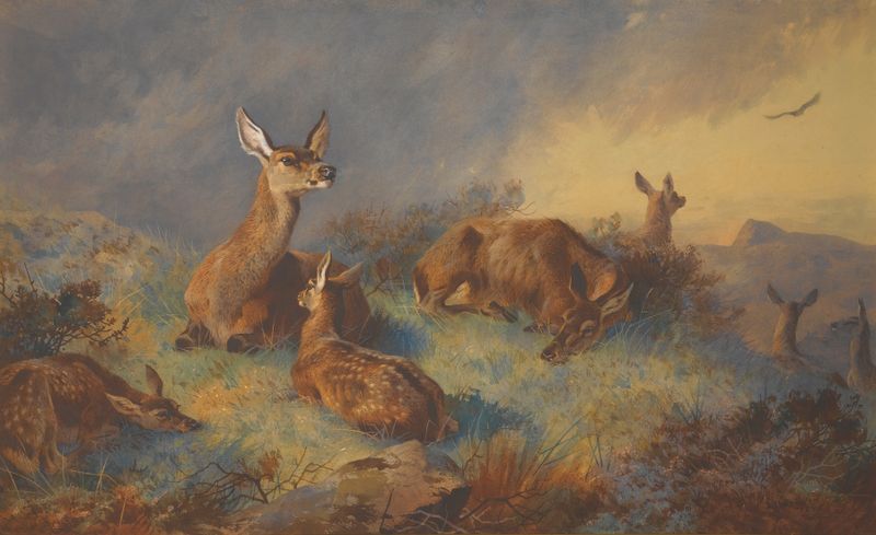 The Watchful Hinds de Archibald Thorburn, pintura a óleo de ciervas em uma floresta.