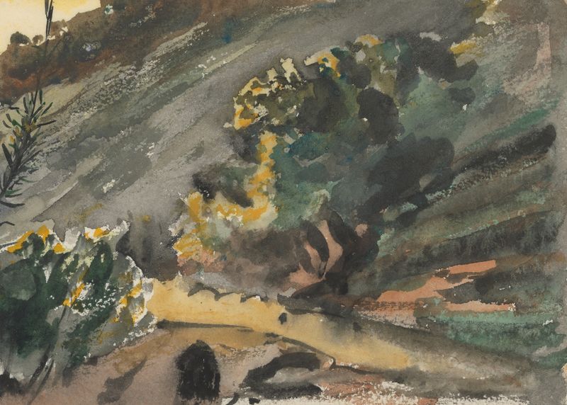 Drawing by Barbara Bodichon, 1861, featuring delicate lines and vibrant colors.