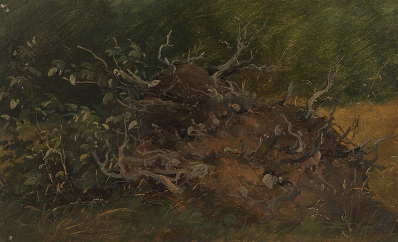 Study of a Tree Stump de Vilhelm Petersen, aquarela sobre papel, retratando um toco de árvore texturizado