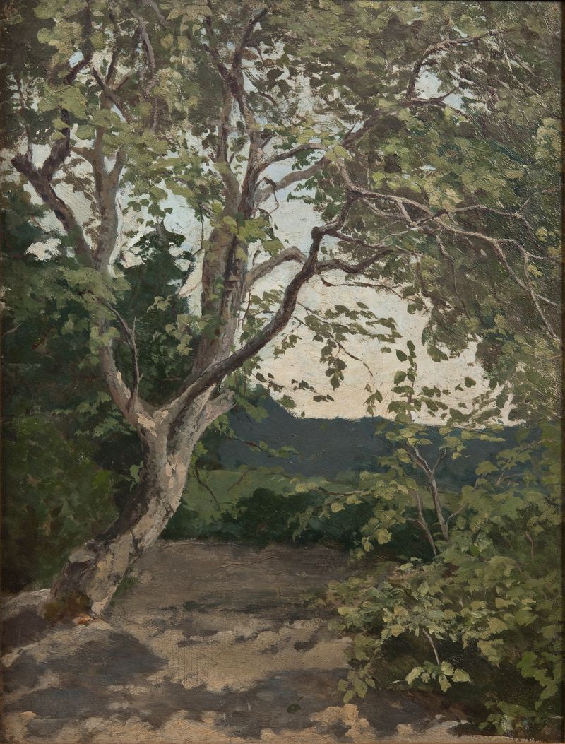 Botanical study of a tree by Anna Nordlander, medium unknown