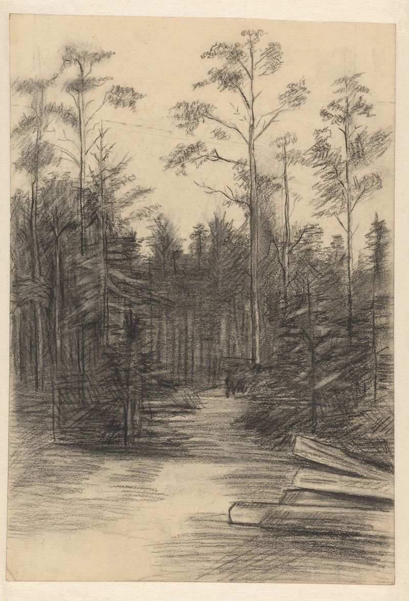 Paisagem com um caminho sinuoso entre árvores, óleo sobre tela de Willem Witsen