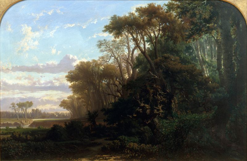 Landscape with Woods by Lluís Rigalt, oil on canvas depicting a serene forest with trees and light.