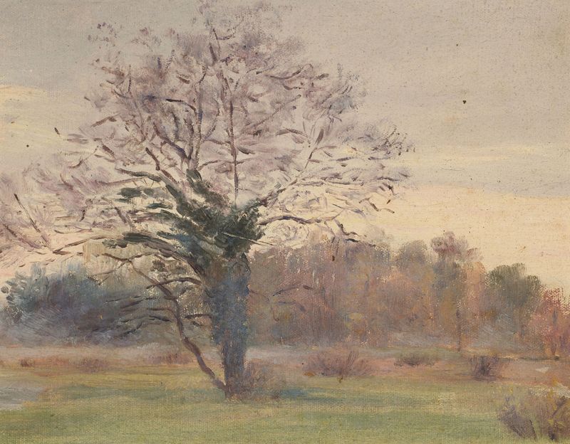 Oil on canvas by Jeanne Jegou-Cadart depicting a grand tree in a sunlit meadow.