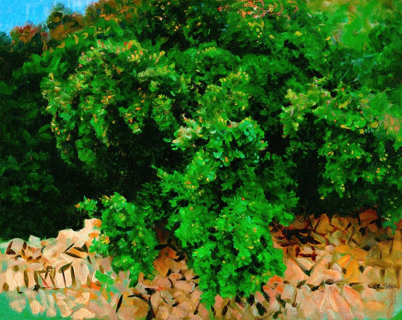 Ilex Wood de John Singer Sargent, óleo sobre tela que retrata vegetação exuberante e luz do sol.