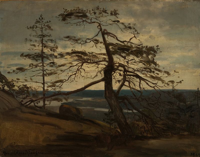 Fjellfuru, Setesdal by Amaldus Nielsen, oil painting of a mountain pine in a Norwegian landscape