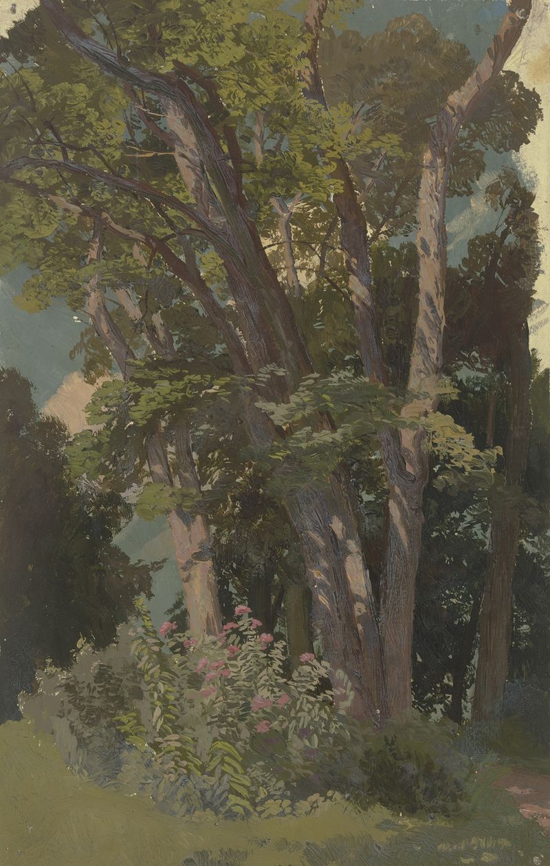 Park study, glade by Jakob Becker, oil on canvas depicting a lush glade with vibrant foliage.