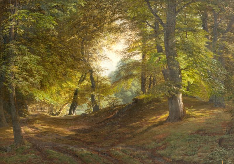 A Wood near Frederiksborg Castle de Godtfred Rump, óleo sobre lienzo que representa un bosque con luz y sombras.