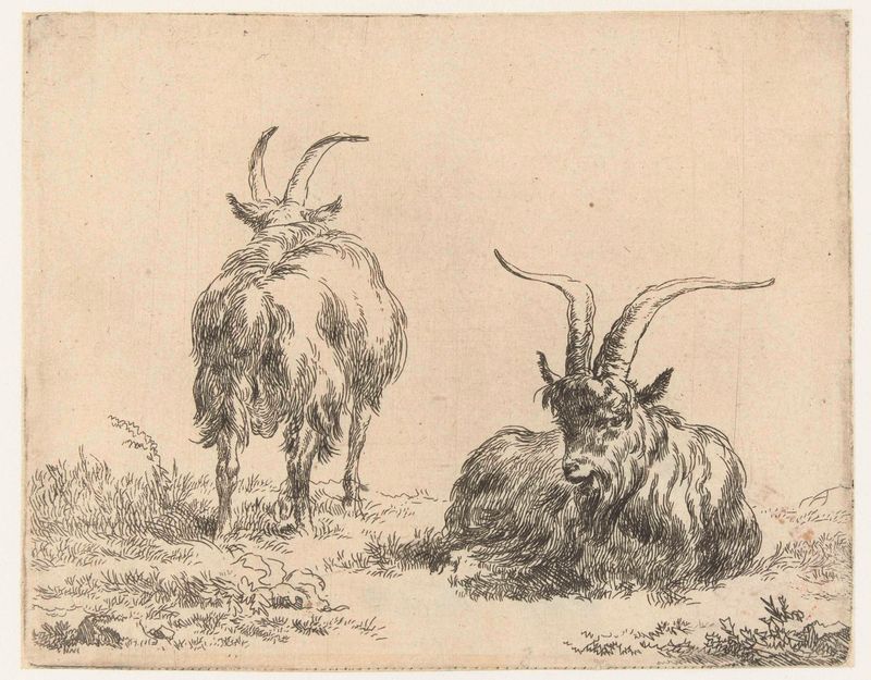 Gravura de Nicolaes Pietersz Berchem representando cabras em luz suave