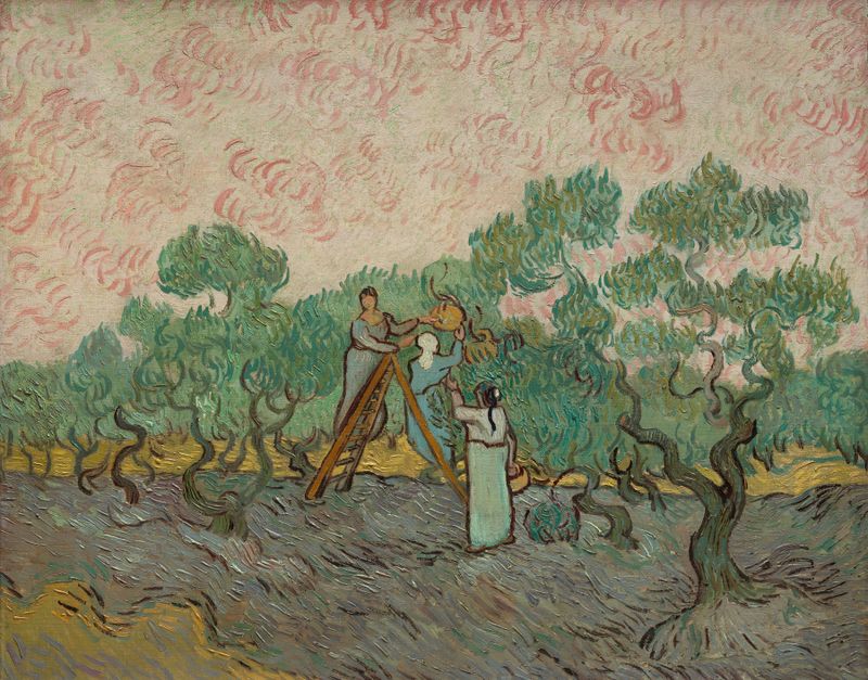 Mulheres Colhendo Azeitonas, óleo de Vincent van Gogh, mostrando duas mulheres colhendo azeitonas.