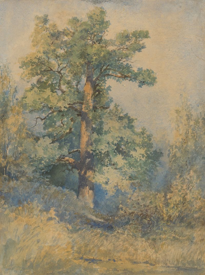 Boceto de un árbol de Ladislav Mednyánszky, que representa ramas retorcidas en una paleta terrosa.