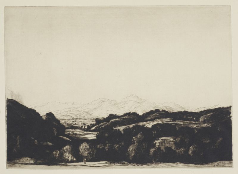 Gravura de David Young Cameron mostrando uma árvore solitária em uma paisagem