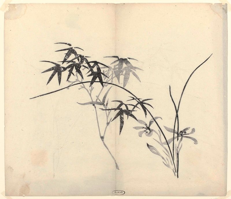 Bamboe en Orchideeёn de artista desconocido, obra en papel con orquídeas y bambú.