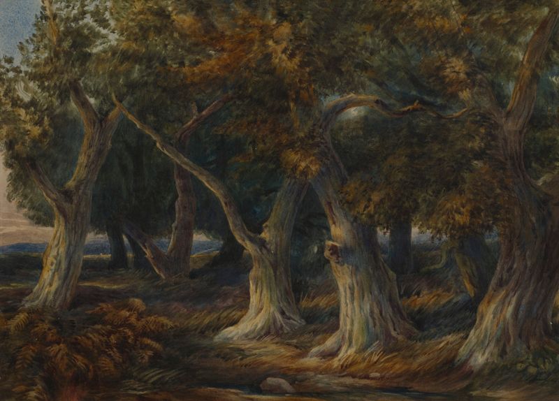 Forest scene by William Frederick Witherington, oil on canvas, featuring lush greenery and dappled light.