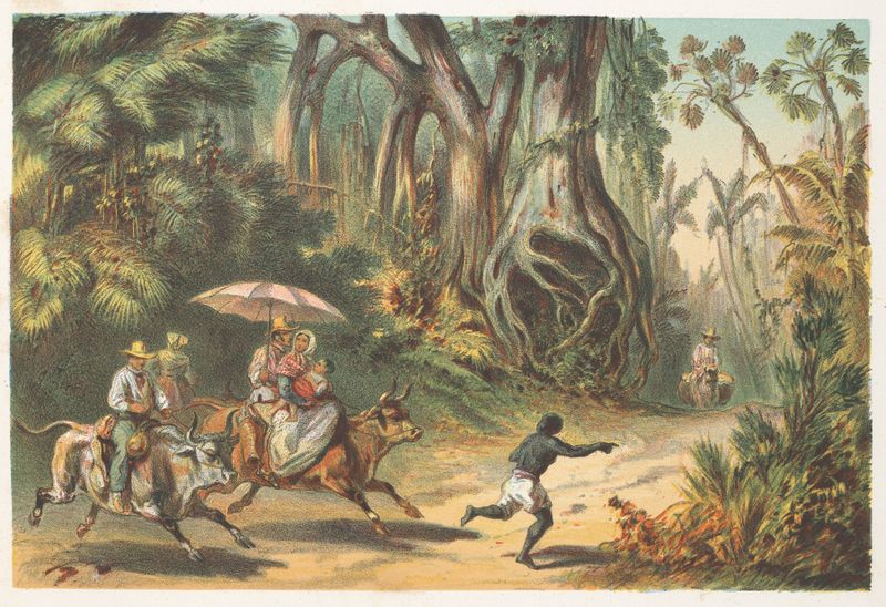 Landscape with vibrant jungle and light by Pierre Toussaint Frédéric Mialhe, oil painting