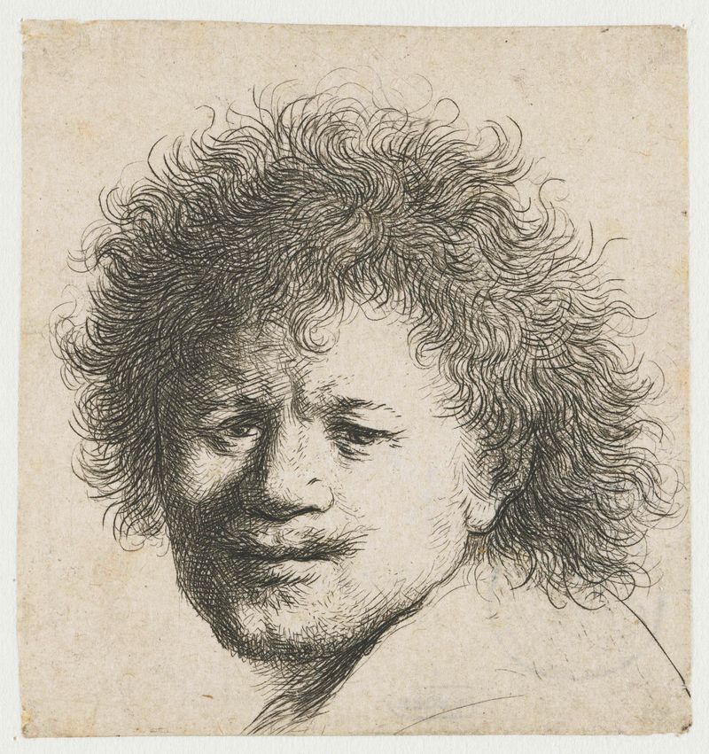Autorretrato con cabello largo y espeso de Rembrandt van Rijn, grabado, con una mirada pensativa y cabello intrincado.