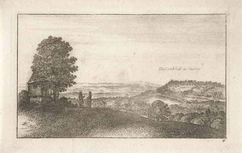 Landschap met gezicht op Hascombe Hill, grabado de Wenceslaus Hollar