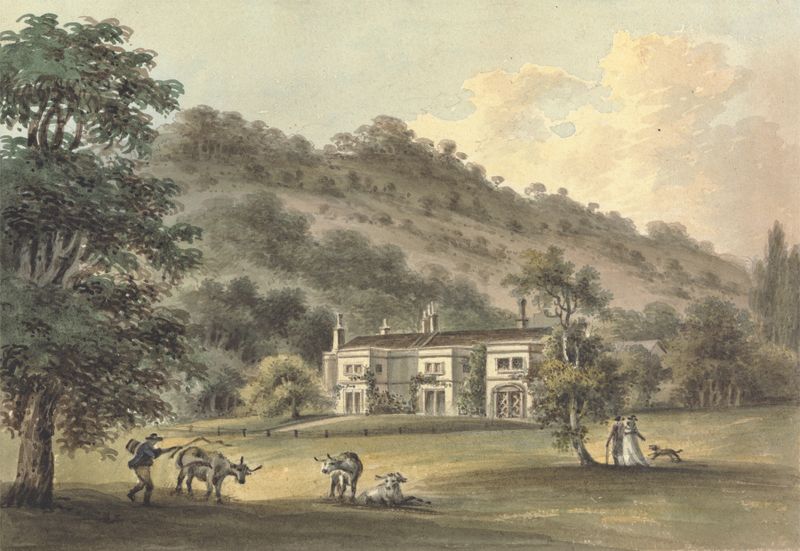 Grove Cottage, Box Hill, Surrey, oil on canvas by John Hassell