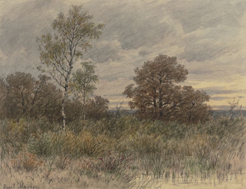 Landscape with oaks and birches in swampy terrain by Jakob Maurer
