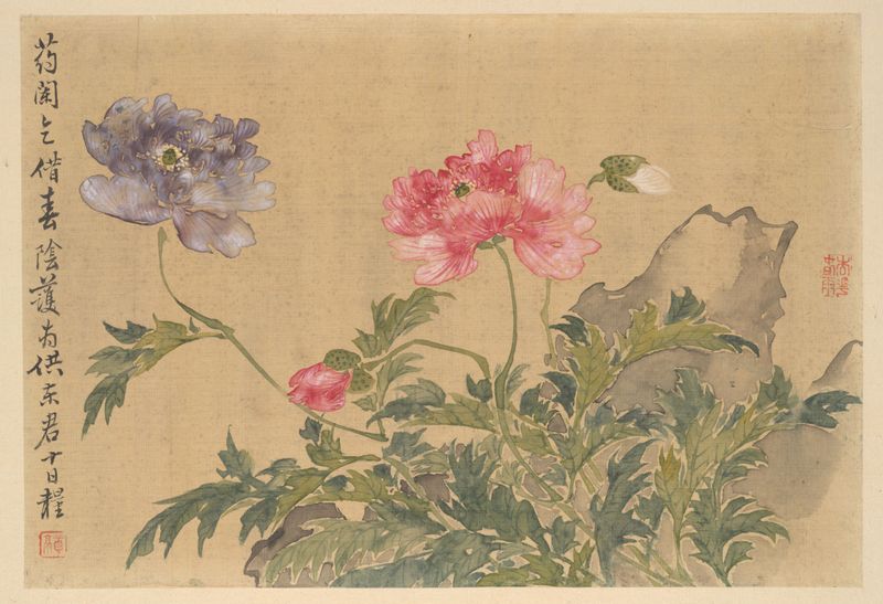 Peonies and Rock de Wang Maoqin, meio seda