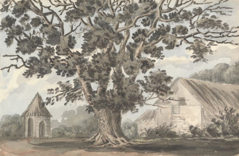 Queen Elizabeth’s Oak near Finborough Hall by Anne Rushout, oil painting of a majestic oak tree.