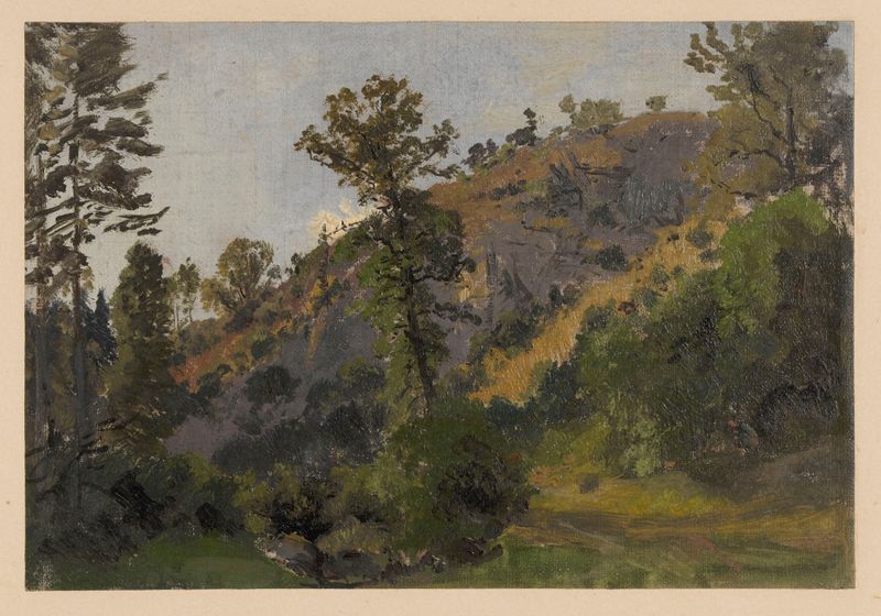 Slope overgrown with trees in the Szczawnik valley, óleo sobre tela de Adolf Dressler