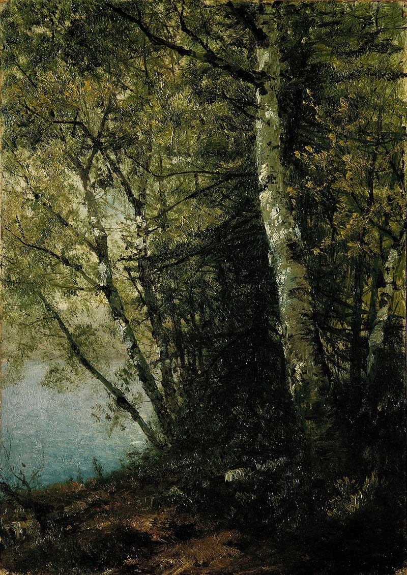 Study of Beeches de John Frederick Kensett, pintura al óleo que muestra árboles de haya en un bosque tranquilo.