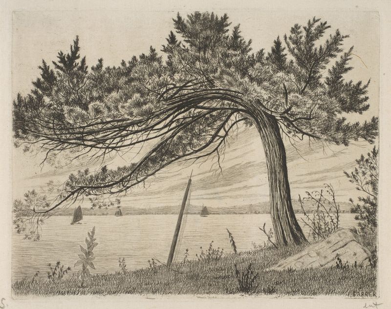 Paisaje de Pelham Bay de Henry Farrer, pintura al óleo que representa agua tranquila y luz de tarde.