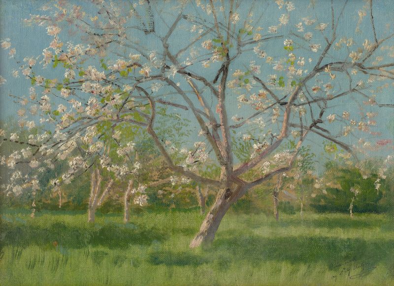 Study of Blooming Trees in an Orchard de Ladislav Mednyánszky, óleo que muestra árboles en flor.