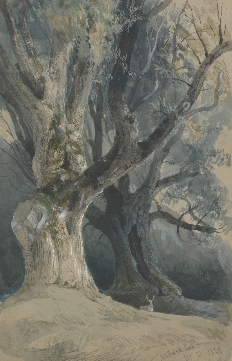 Árboles en Northwick Park de David Roberts, óleo sobre lienzo que representa vegetación exuberante.