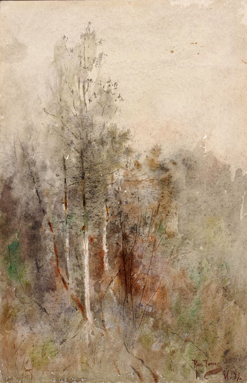 A Tree Study de Ross Sterling Turner, acuarela sobre papel, que muestra ramas retorcidas y naturaleza.